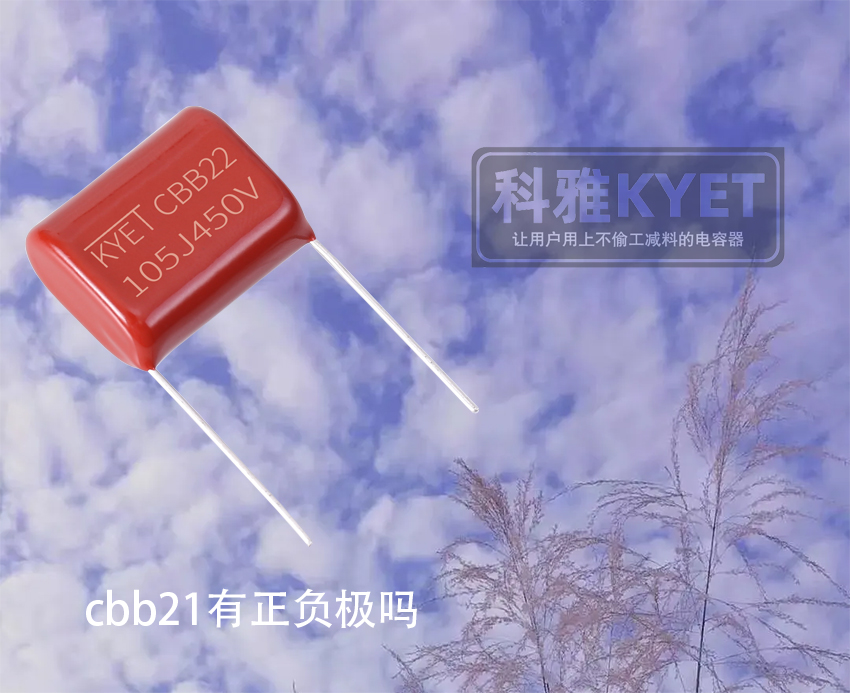 cbb21有正負(fù)極嗎