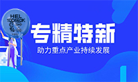HEL壓敏電阻生產(chǎn)工廠(chǎng)被評(píng)為專(zhuān)精特新中小企業(yè)